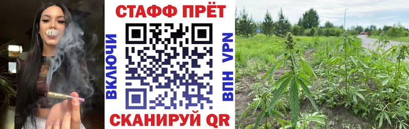 Купить наркотики сайты Красновишерск Псилоцибиновые грибы A PVP МЕФ COCAIN Канабис