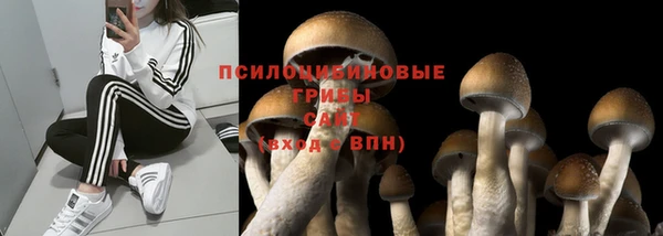 МДПВ Абдулино