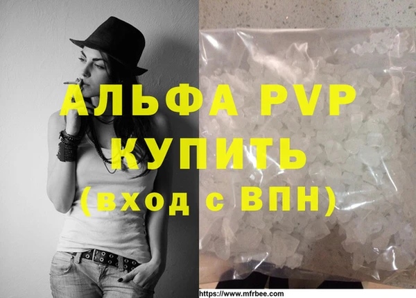 прущие грибы Покачи