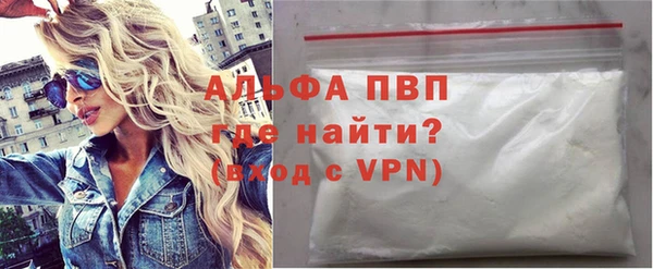 прущие грибы Покачи