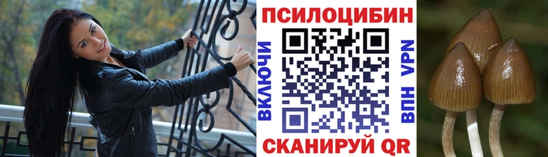 Псилоцибиновые грибы Psilocybe  дарнет шоп  Красновишерск 